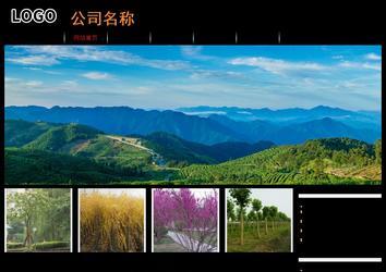 經(jīng)濟型成品案例站No:8535