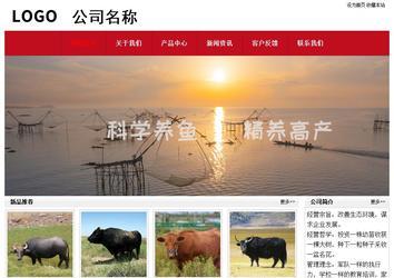 經(jīng)濟型成品案例No:8551