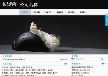 商務(wù)型成品案例站No:8553