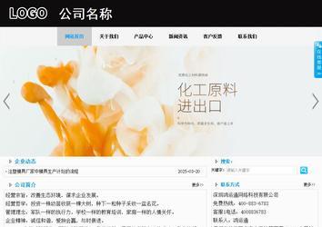 商務型成品案例站No:8553