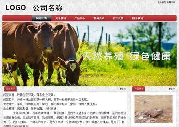 經(jīng)濟型成品案例No:8578