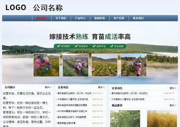 經(jīng)濟型成品案例No:8582