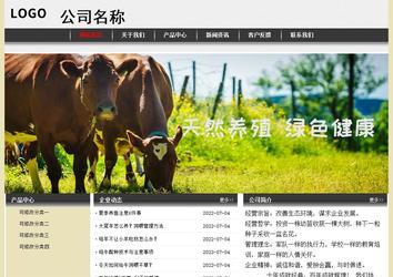 經(jīng)濟(jì)型成品案例No:8583