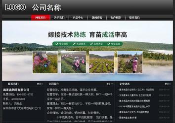 經(jīng)濟(jì)型成品案例No:8589