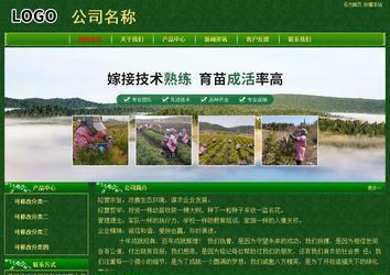 經(jīng)濟型成品案例No:8619