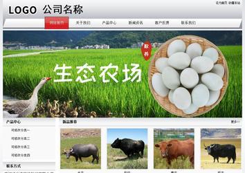 經(jīng)濟(jì)型成品案例No:8639