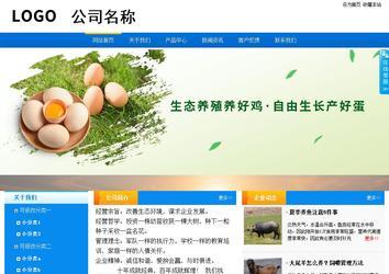 商務(wù)型成品案例站No:8655