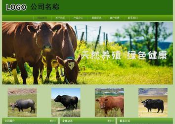 經(jīng)濟(jì)型成品案例站No:8675