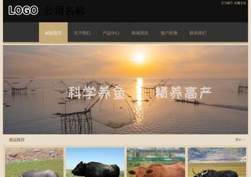 經(jīng)濟(jì)型成品案例站No:8781