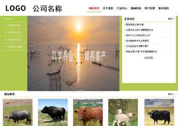 經(jīng)濟型成品案例No:8782