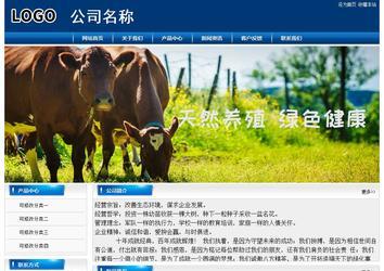 經(jīng)濟(jì)型成品案例站No:8785