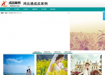 商務(wù)型成品案例No:8787