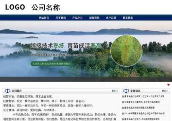 商務(wù)型成品案例站No:8823