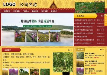 商務(wù)型成品案例站No:8824