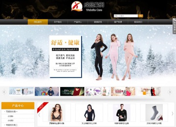 商務型成品案例站No:8829