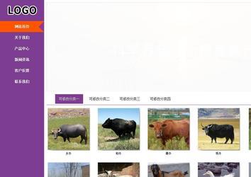 商務(wù)型成品案例站No:8830