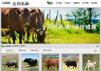 經(jīng)濟型成品案例站No:8833