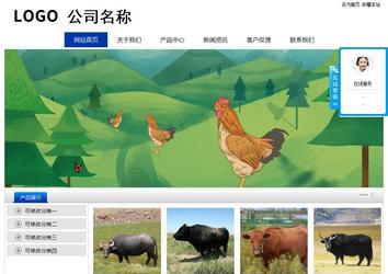 經(jīng)濟型成品案例站No:8839