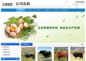 經(jīng)濟型成品案例站No:8856