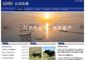 經(jīng)濟型成品案例站No:8903